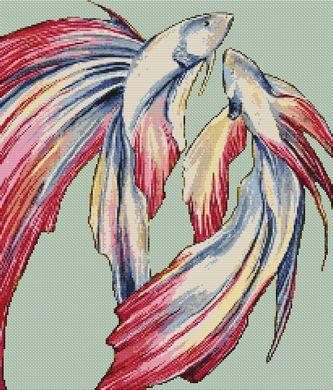 (image for) Bettas
